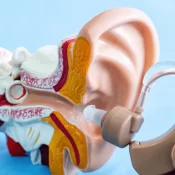 İşitme Kaybına Yol Açan Temel Nedenler