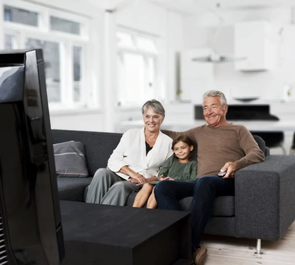 Widex TV-DEX Kablosuz Bağlantı Cihazı